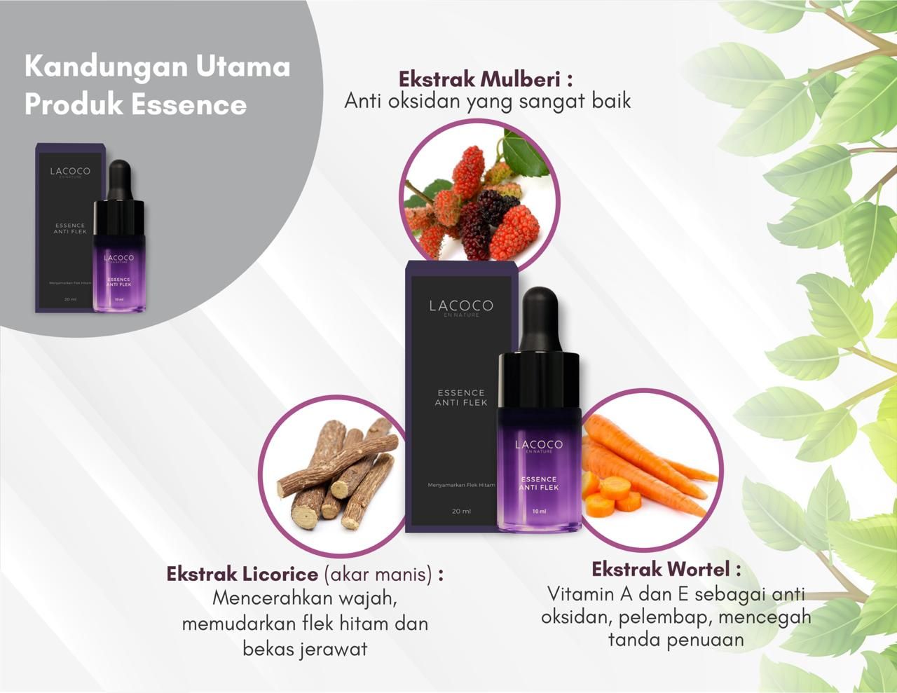 Kandungan Lacoco Dark Spot Essence