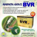 Mengapa Harus BVR