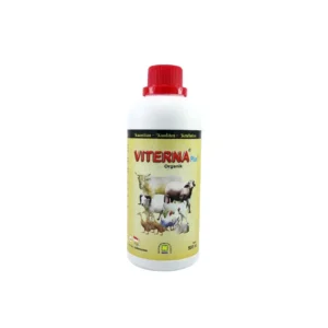 Viterna Vitamin Ternak