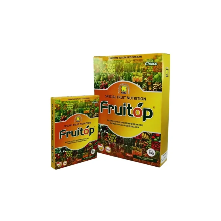 Fruitop Besar 1 Kg