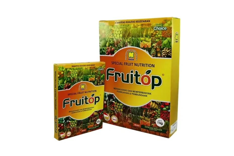 Fruitop Besar 1 Kg