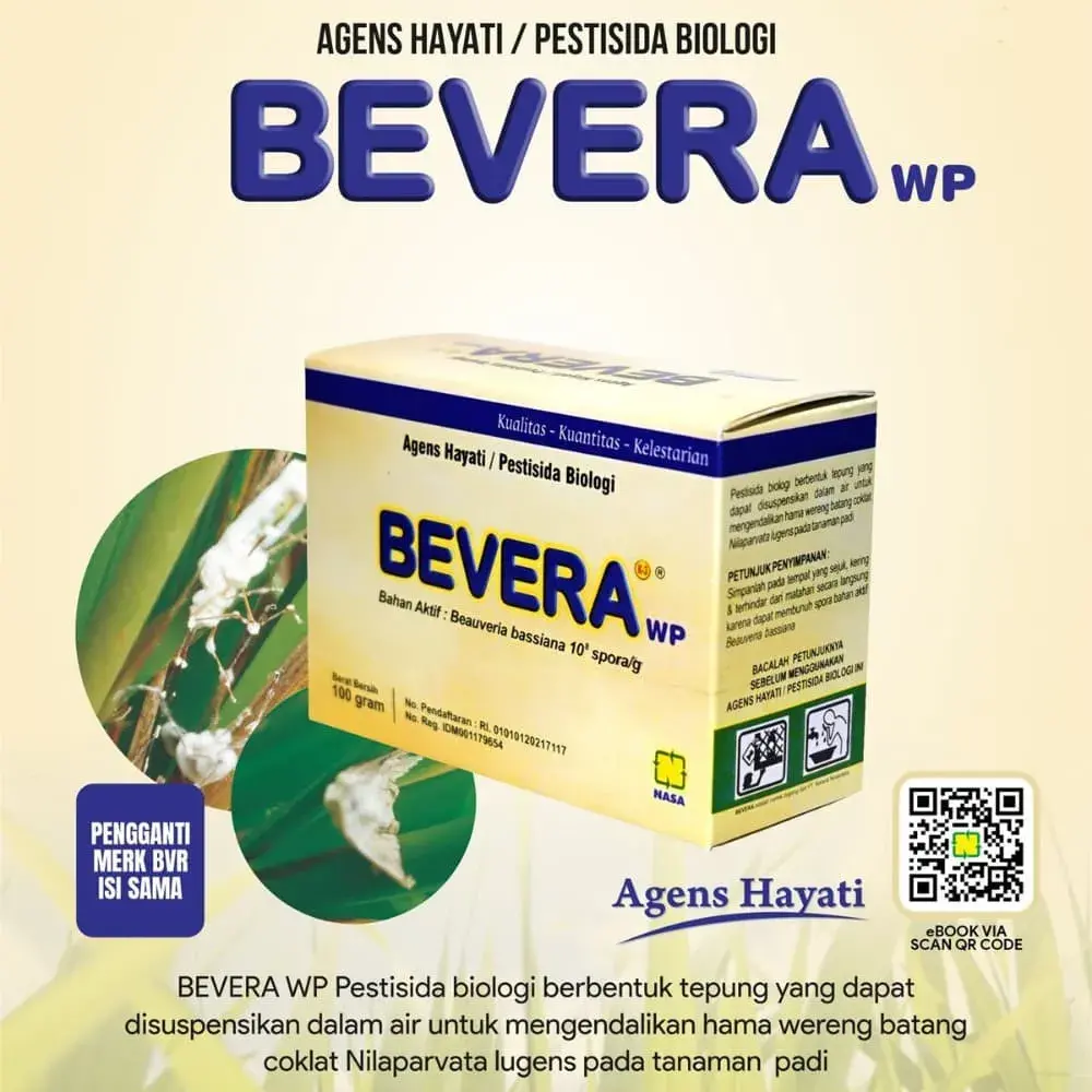 Gambar BEVERA WP (BVR)