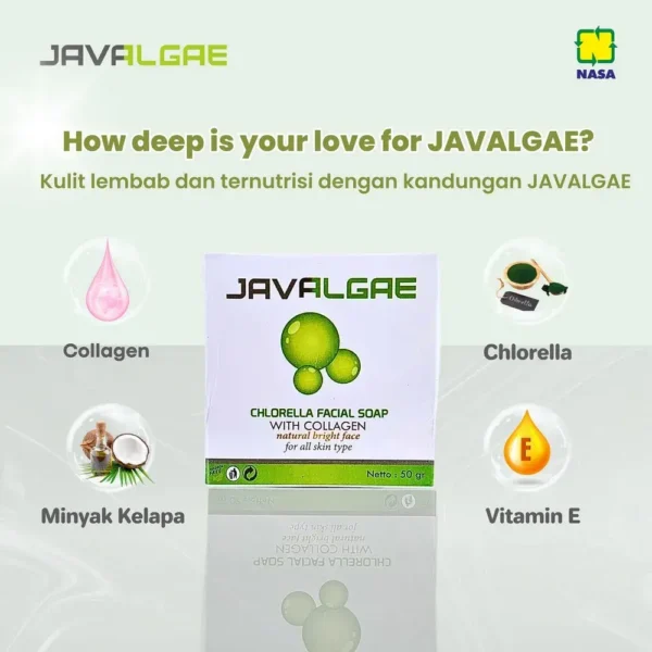 Kandungan Javalgae