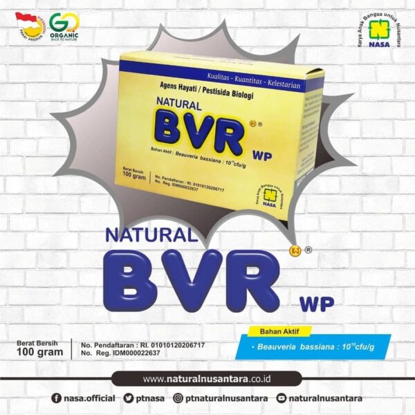 Natural BVR WP - Gambar 3