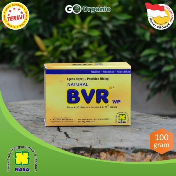 Natural BVR WP - Gambar 2