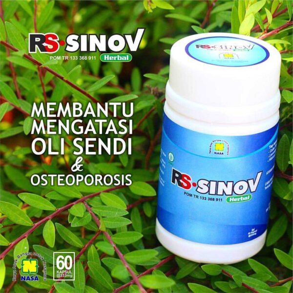 RS SINOV Herbal Oli Sendi - Gambar 2