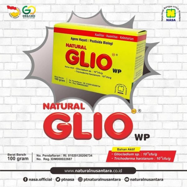 Natural GLIO WP - Gambar 3