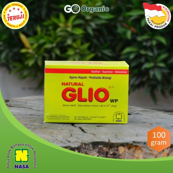 Natural GLIO WP - Gambar 2