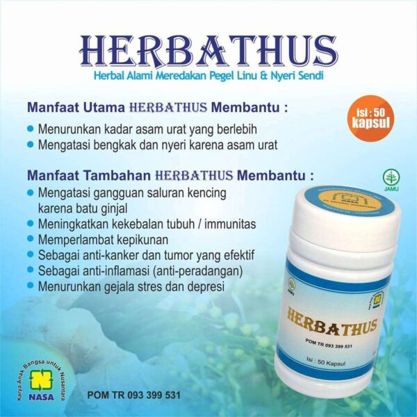 Herbathus - Gambar 2