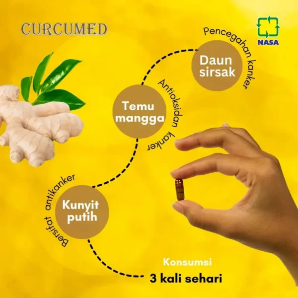 Kandungan Curcumed