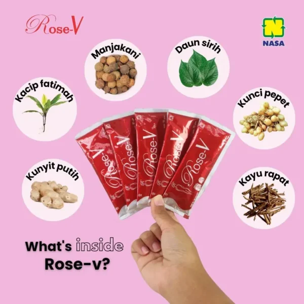 ROSE-V NASA - Gambar 2