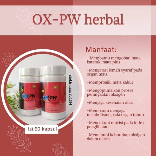 OX-PW Herbal Mata Plus & Katarak - Gambar 3