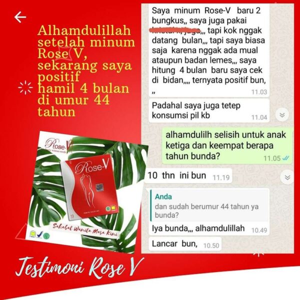 ROSE-V NASA - Gambar 4